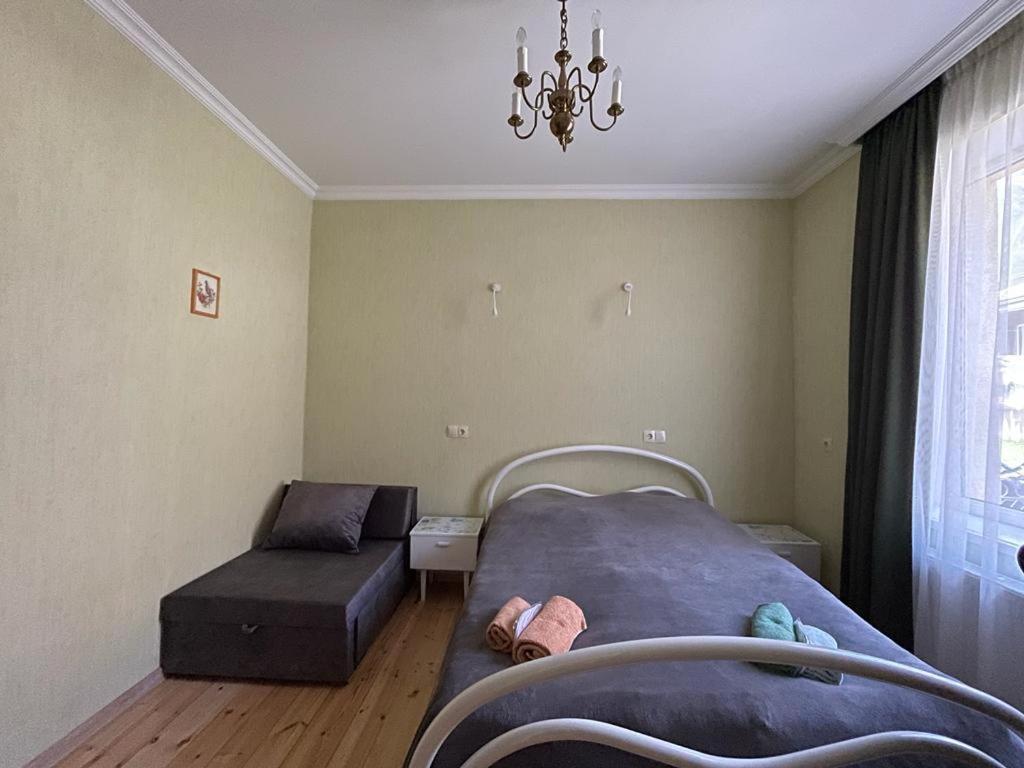 Family Hotel 7 Sisters Казбеги Екстериор снимка